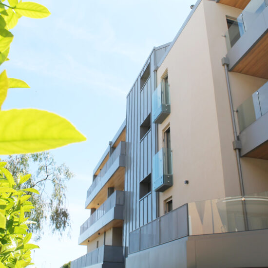 Ragno Grottammare Casa Riva 012