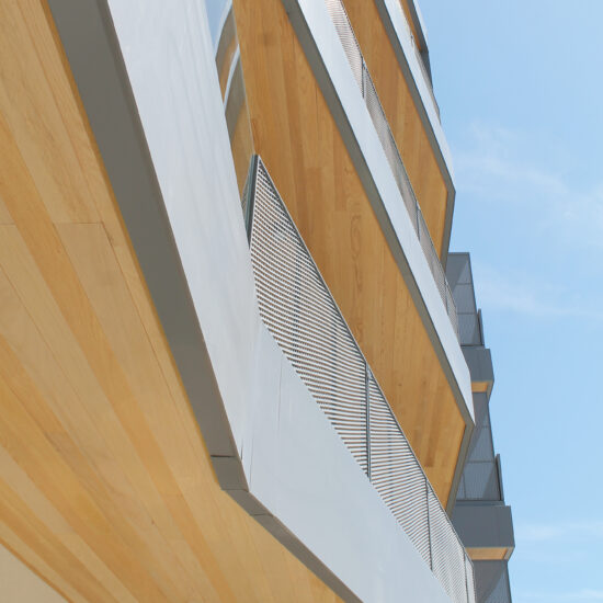 Ragno Grottammare Casa Riva 016