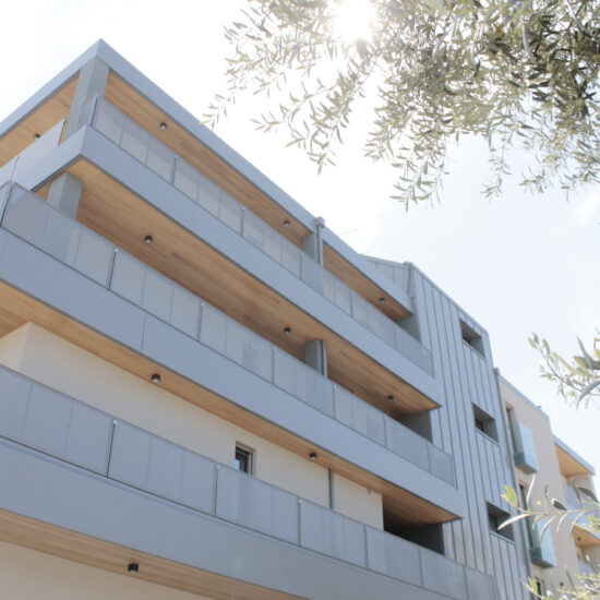 Ragno Grottammare Casa Riva 017