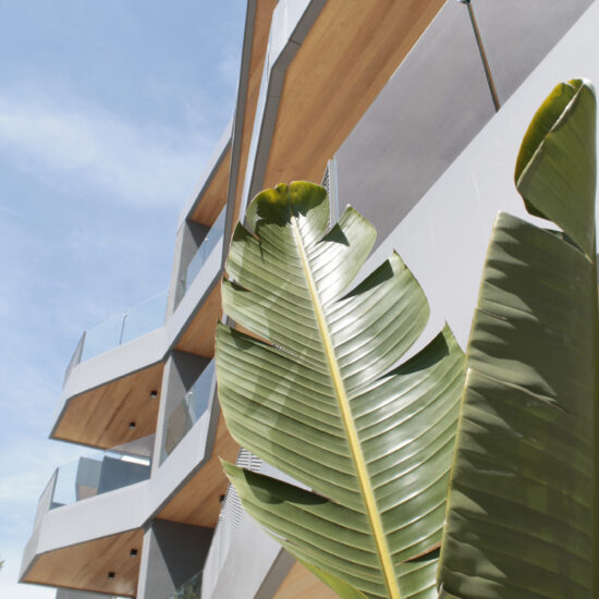 Ragno Grottammare Casa Riva 025