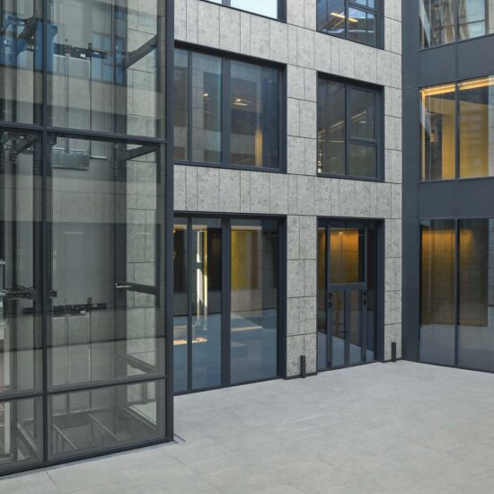 Ragno Regina Giovanna 002