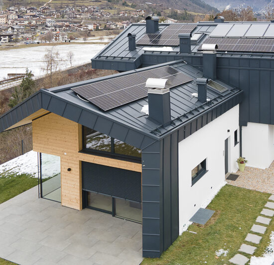 Ragno B&B Fiemme in vista 003