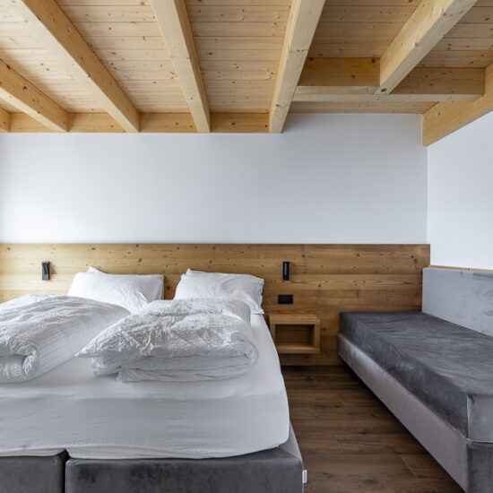 Ragno B&B Fiemme in vista 038