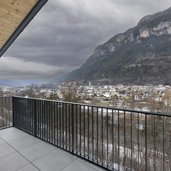 Ragno B&B Fiemme in vista 043