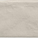 ragno calce r02s.jpg