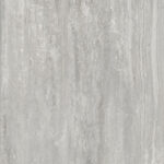 ragno imperiale r72l.jpg