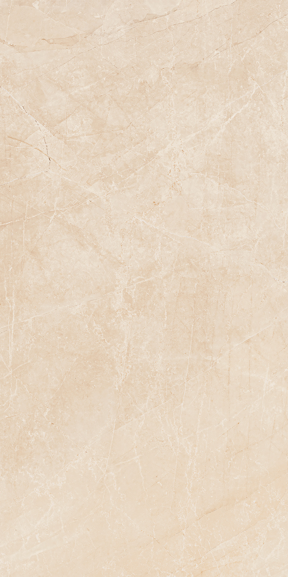 ragno imperiale r72m.jpg