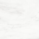 ragno imperiale r74d.jpg