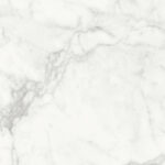 ragno imperiale r74e.jpg