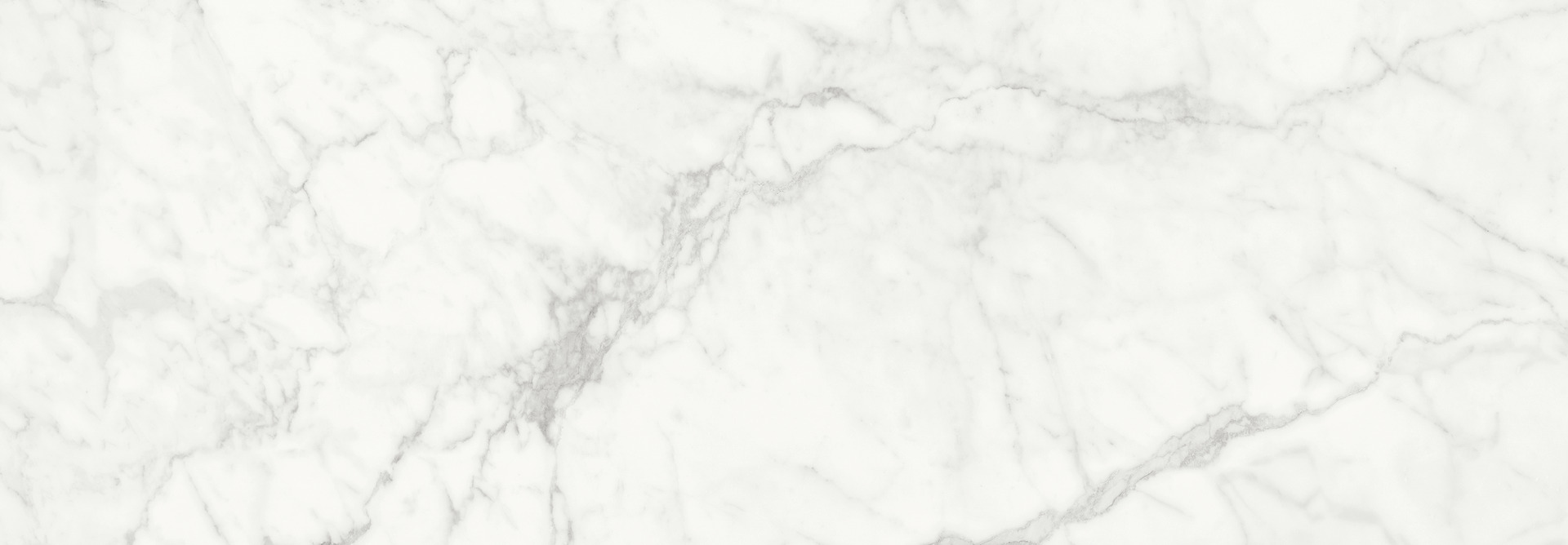 ragno imperiale r74e.jpg