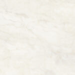 ragno imperiale r74f.jpg