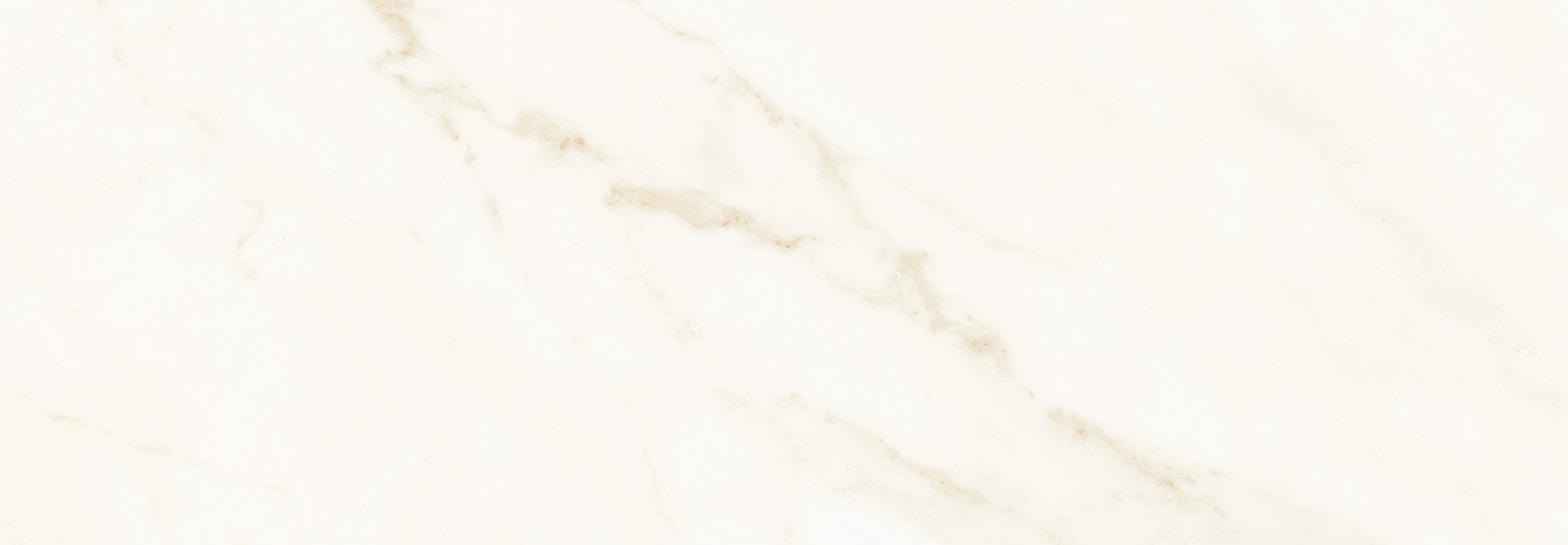 ragno imperiale r74g.jpg