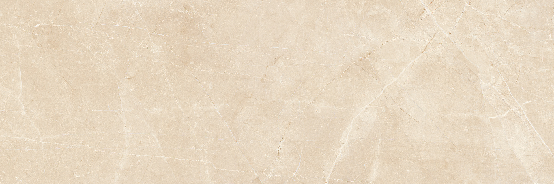 ragno imperiale r74k.jpg