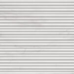 ragno imperiale r74m.jpg