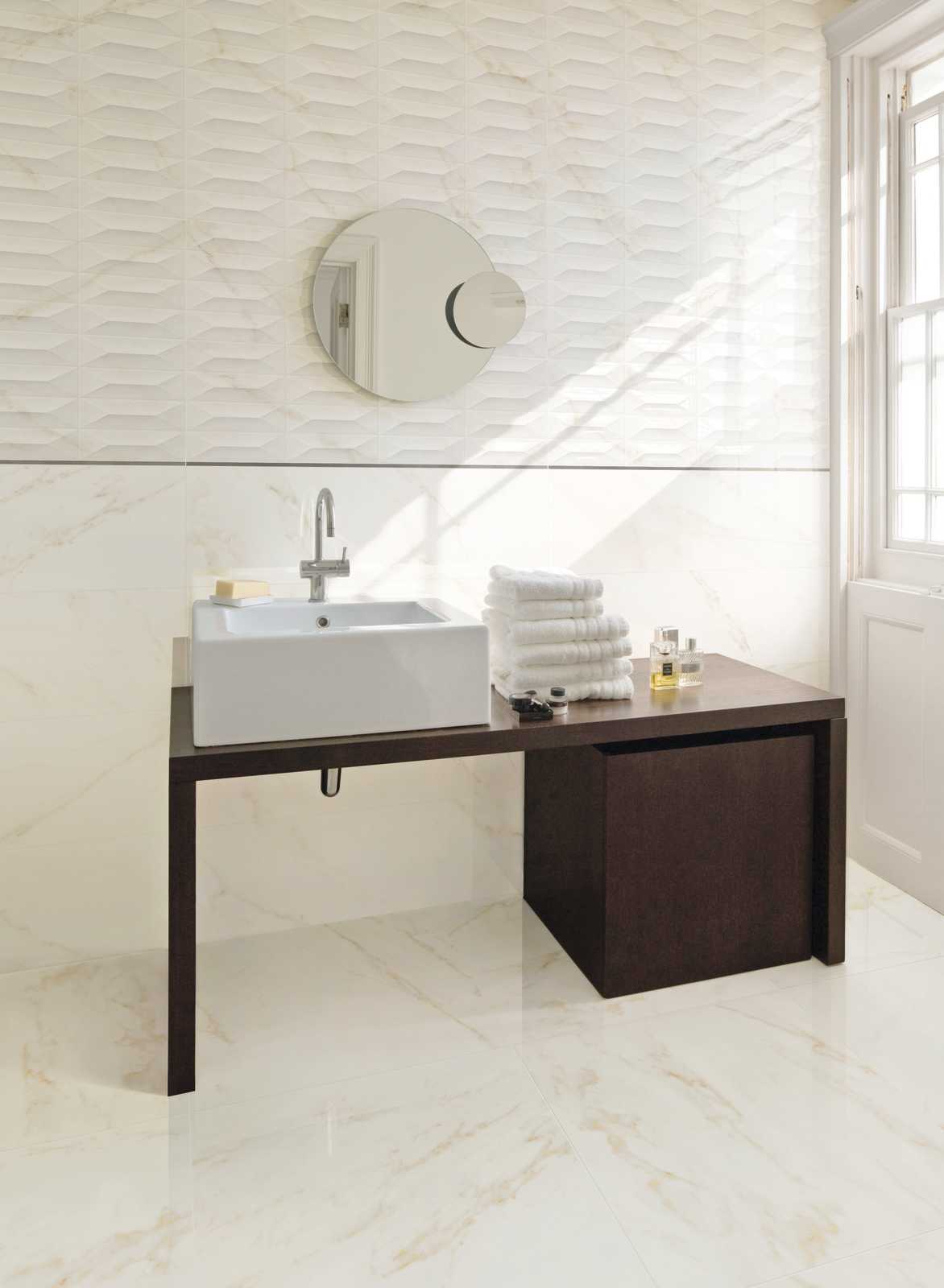 ragno imperiale 009.jpg