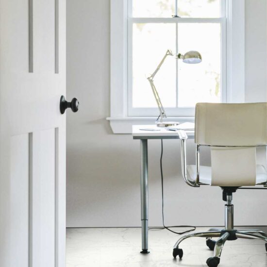 ragno imperiale 014.jpg