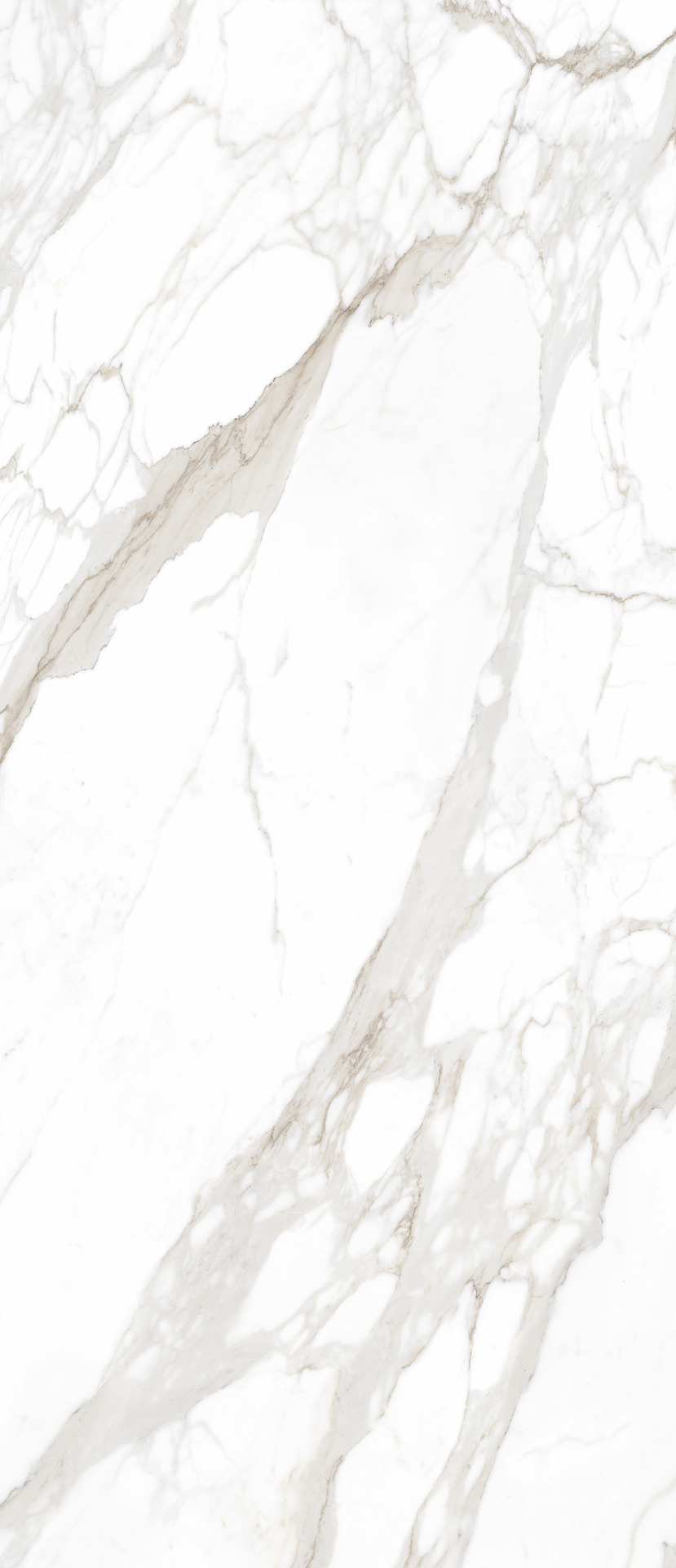 ragno incanto r8nd.jpg