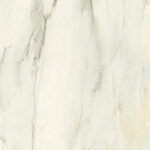 ragno incanto r8nf.jpg