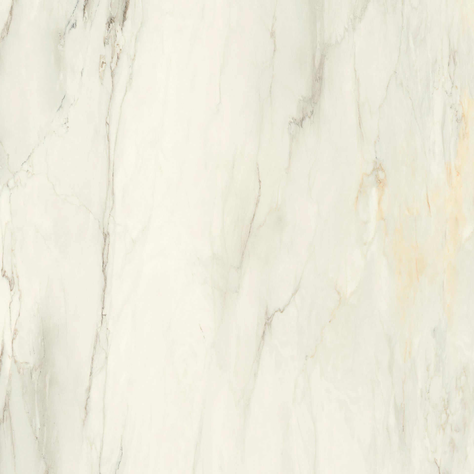 ragno incanto r8nr.jpg