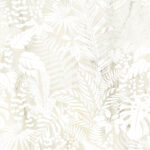 ragno incanto rc1d.jpg