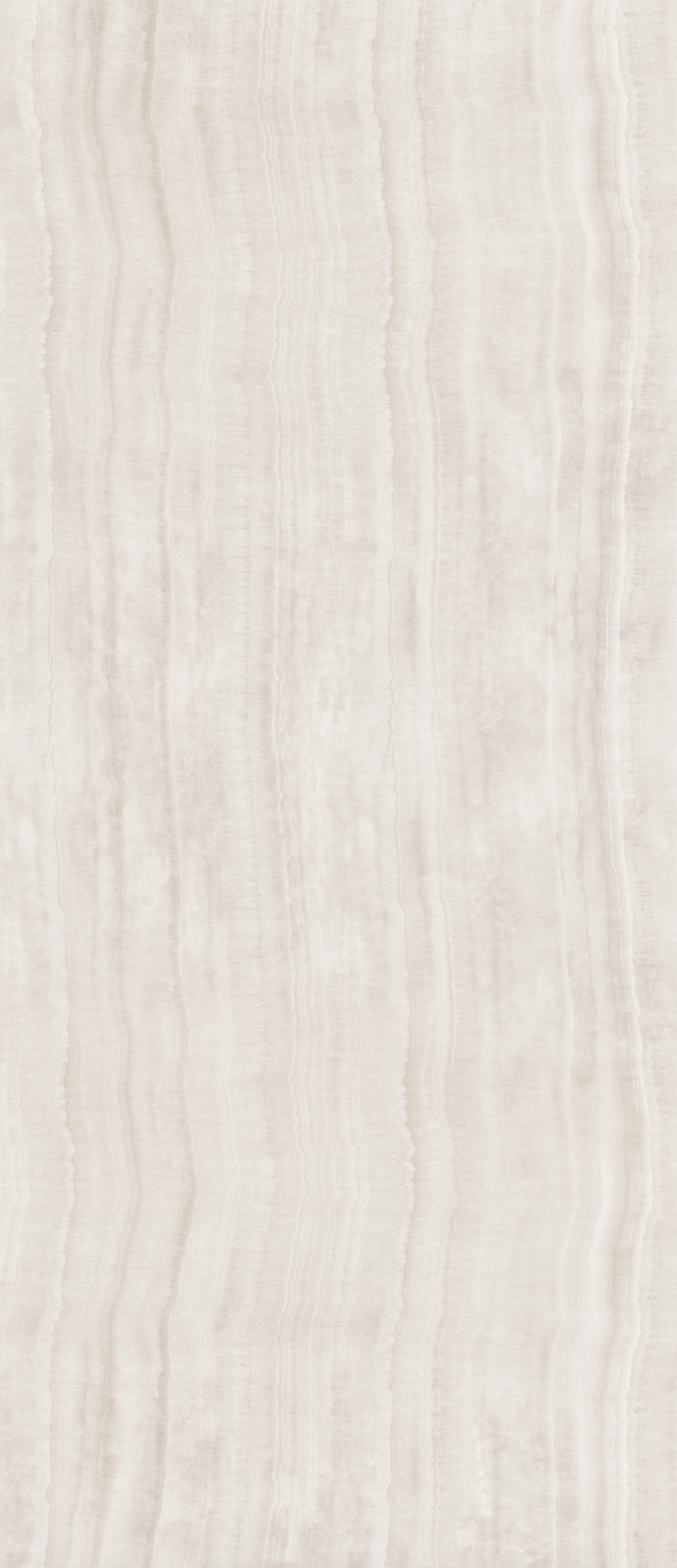 ragno incanto rdaz.jpg