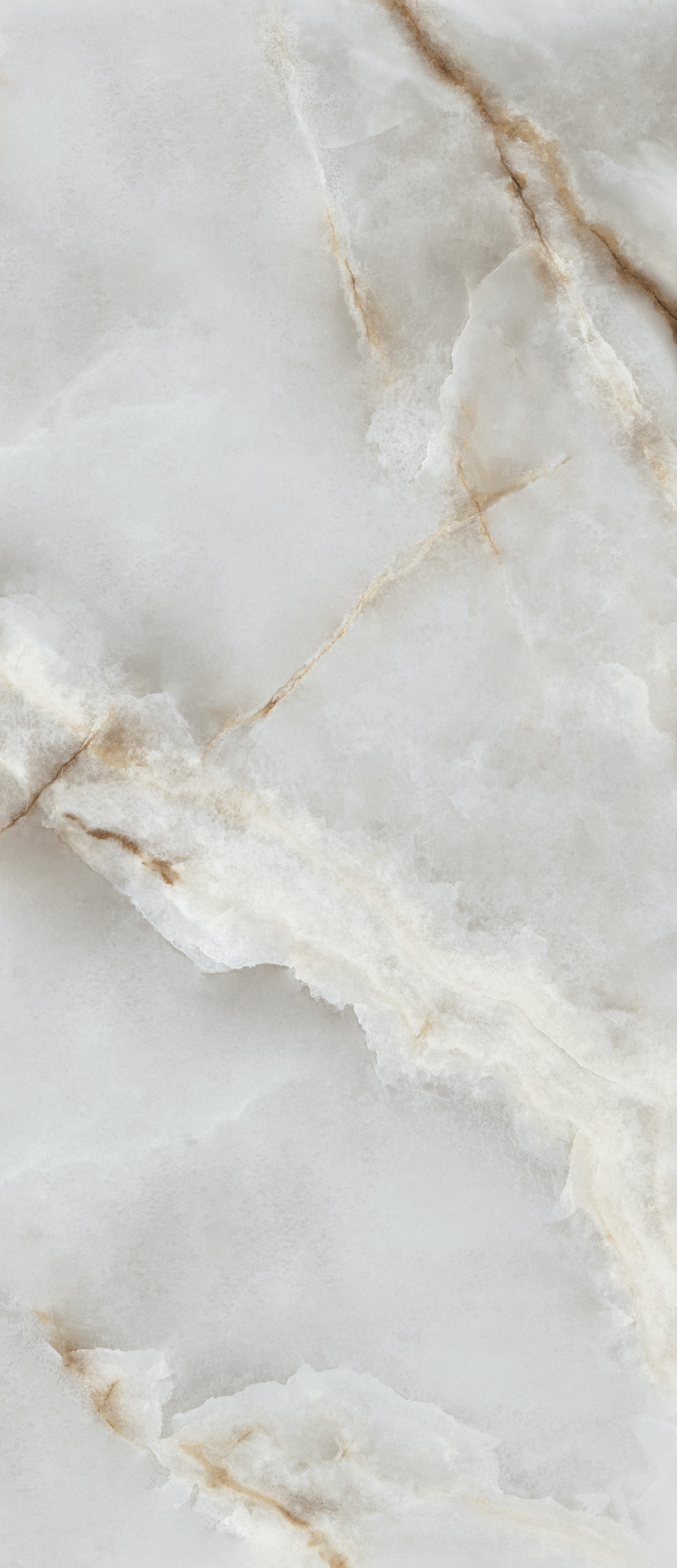 ragno incanto rdew.jpg