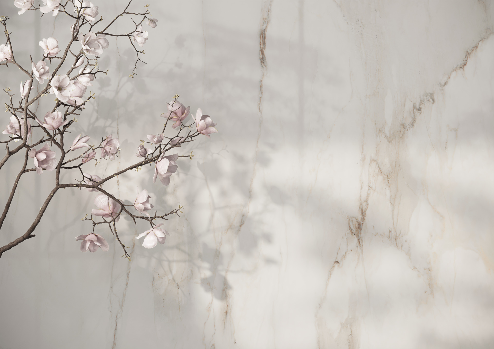 ragno incanto 023.jpg