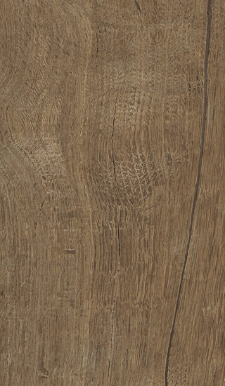 ragno nodis rdcc.jpg