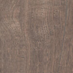 ragno nodis rdcd.jpg