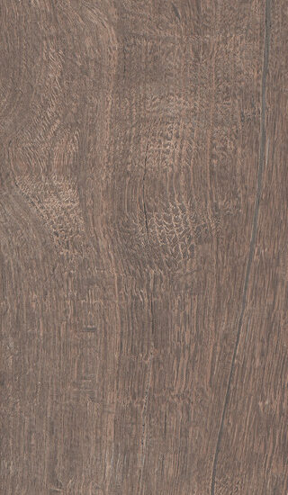 ragno nodis rdcd.jpg