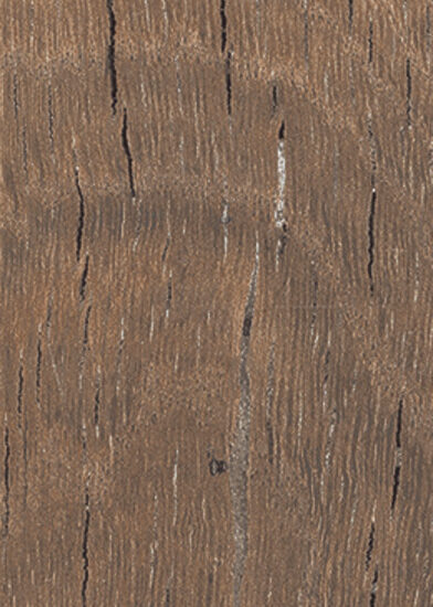 ragno nodis rdce.jpg