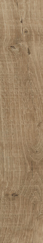 ragno nodis rdcf.jpg