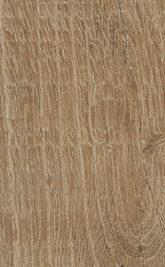 ragno nodis rdcf.jpg