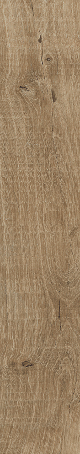 ragno nodis rdcf.jpg