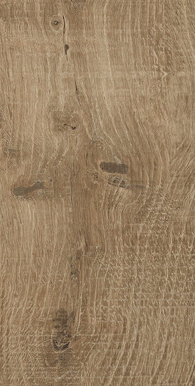 ragno nodis rdg2.jpg