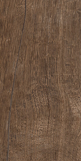 ragno nodis rdgg.jpg