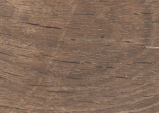 ragno nodis rdlp.jpg