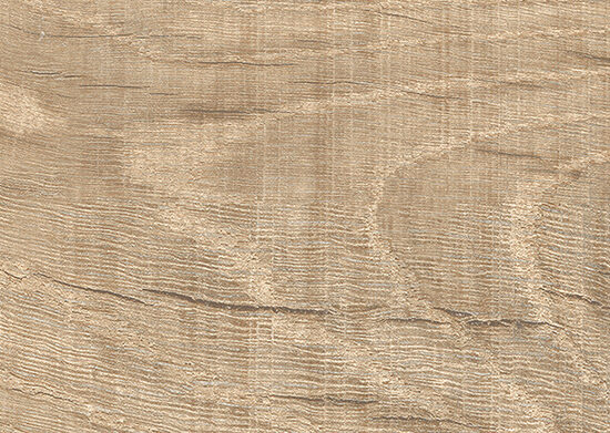 ragno nodis rdlq.jpg