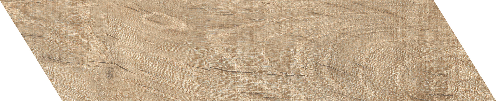 ragno nodis rdlq.jpg