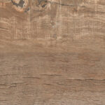 ragno nodis xt20 rdms.jpg