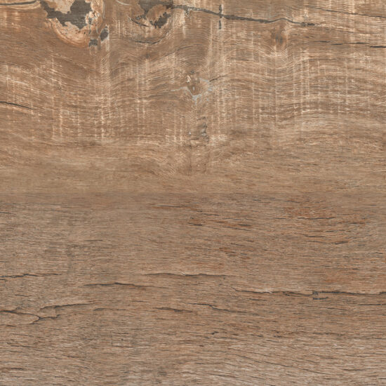 ragno nodis xt20 rdms.jpg