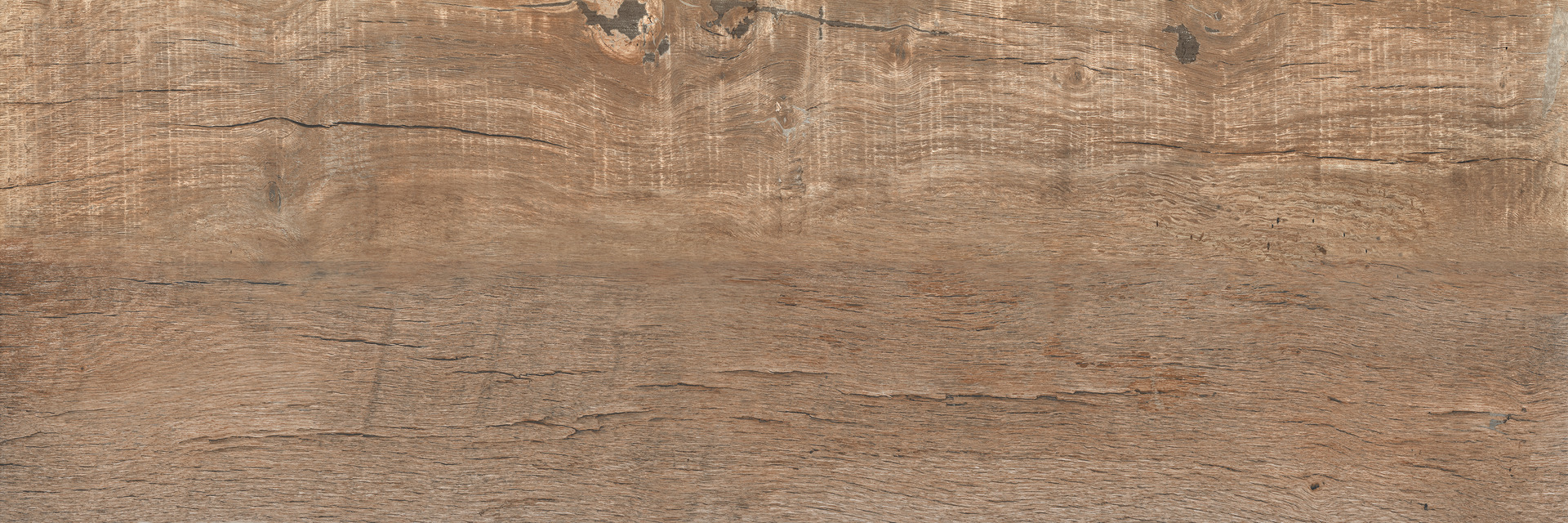 ragno nodis xt20 rdms.jpg