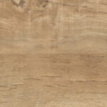 ragno nodis xt20 rdmt.jpg