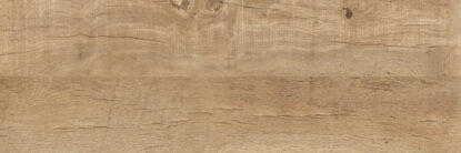 ragno nodis xt20 rdmt.jpg