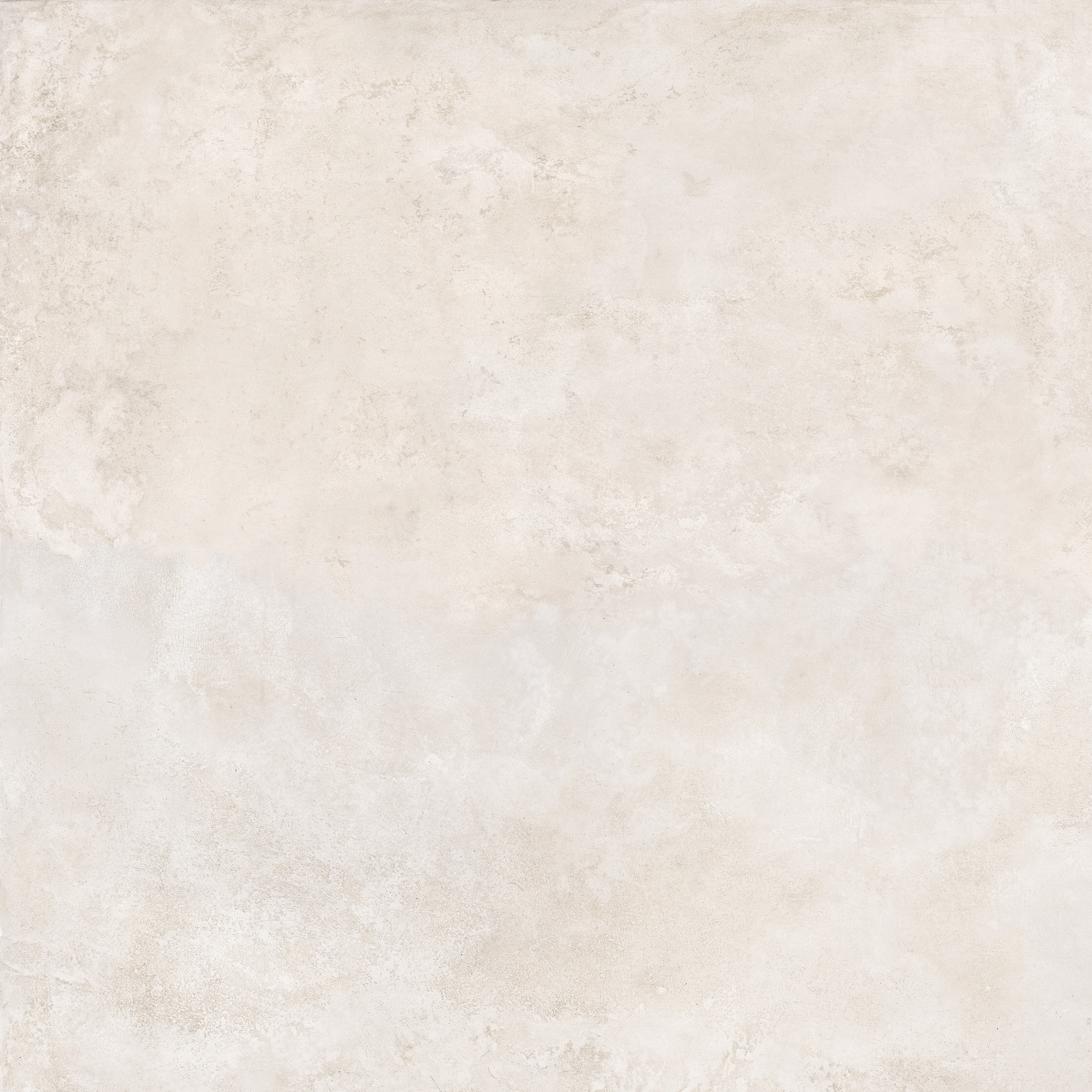 ragno roots ra7q.jpg