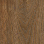 ragno secret rc6r.jpg