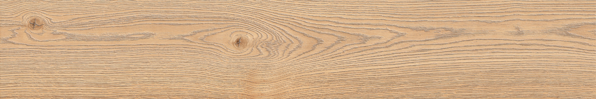 ragno secret rc6u.jpg