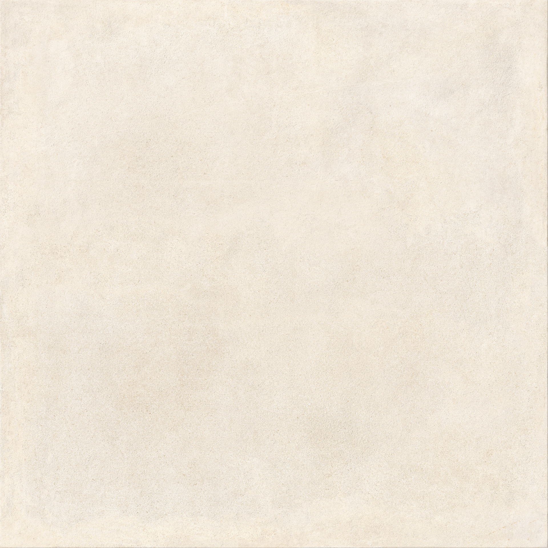 ragno solida rdds.jpg