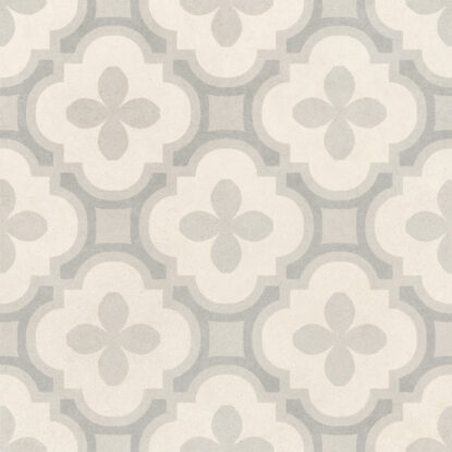 ragno solida rdeu.jpg