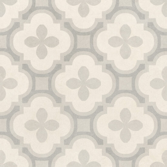 ragno solida rdeu.jpg